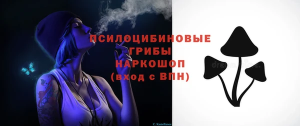 не бодяженный Медвежьегорск