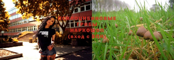 не бодяженный Медвежьегорск