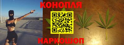 гидропоника Берёзовский