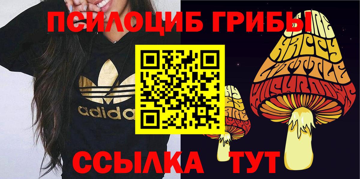Псилоцибиновые грибы мицелий Ессентуки