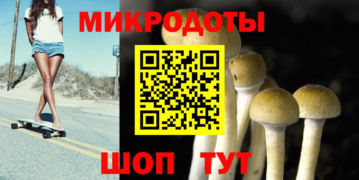 Псилоцибиновые грибы Psilocybe  Вход с VPN  Псилоцибиновые грибы Psilocybine cubensis  Ессентуки 