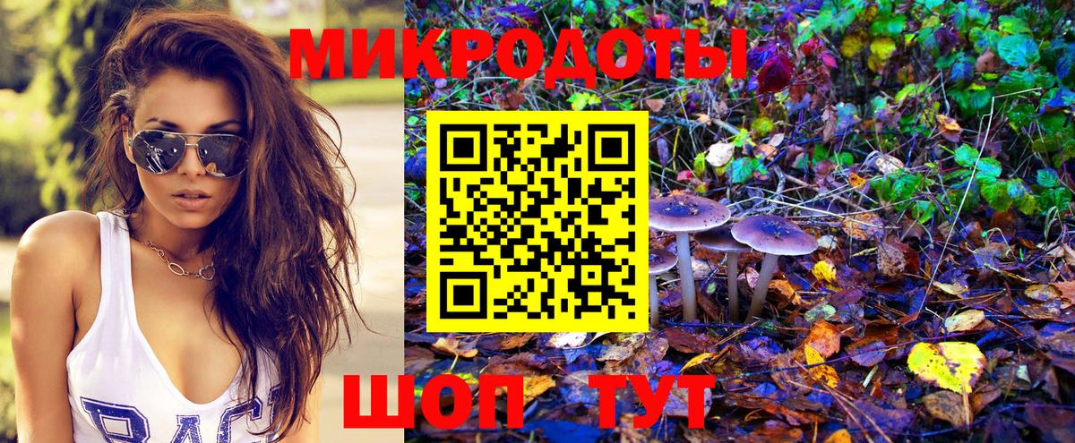 Псилоцибиновые грибы мицелий Ессентуки